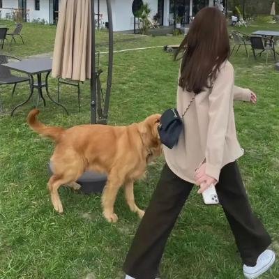 探索者的目标